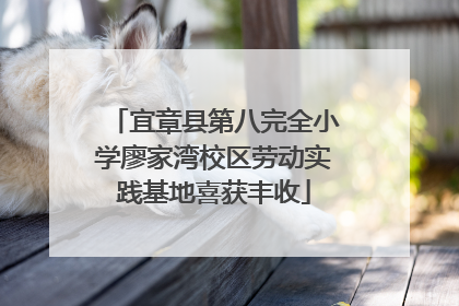 宜章县第八完全小学廖家湾校区劳动实践基地喜获丰收