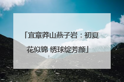 宜章莽山燕子岩：初夏花似锦 绣球绽芳颜