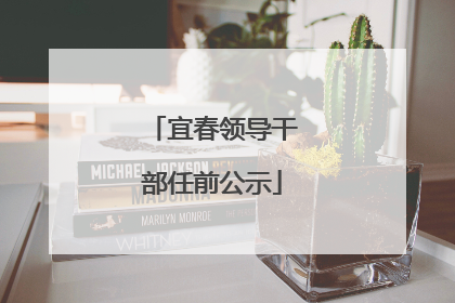 宜春领导干部任前公示