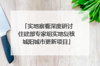实地察看深度研讨 住建部专家组实地复核城阳城市更新项目
