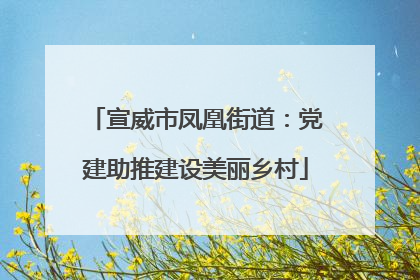 宣威市凤凰街道：党建助推建设美丽乡村