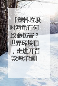 塑料垃圾对海龟有何致命伤害？世界环境日，走进开普敦海洋馆