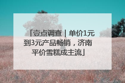 壹点调查｜单价1元到3元产品畅销，济南平价雪糕成主流