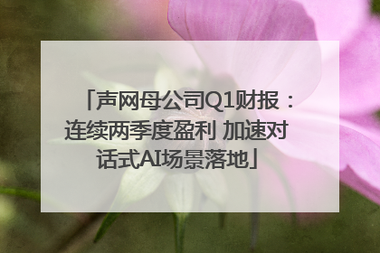声网母公司Q1财报：连续两季度盈利 加速对话式AI场景落地