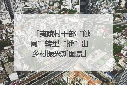 夷陵村干部“触网”转型“播”出乡村振兴新图景