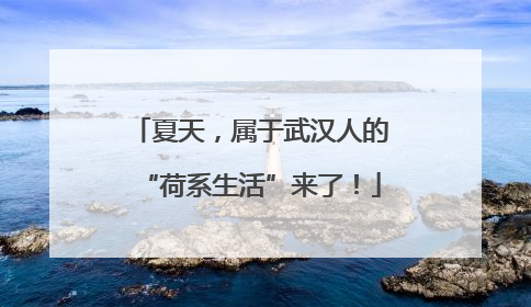 夏天，属于武汉人的“荷系生活”来了！