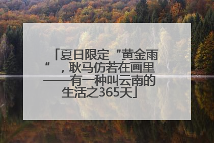 夏日限定“黄金雨”，耿马仿若在画里——有一种叫云南的生活之365天