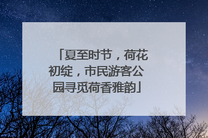夏至时节，荷花初绽，市民游客公园寻觅荷香雅韵