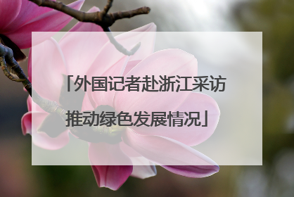 外国记者赴浙江采访推动绿色发展情况