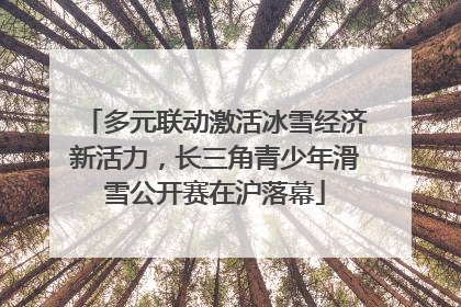 多元联动激活冰雪经济新活力，长三角青少年滑雪公开赛在沪落幕