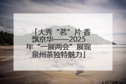 大秀“茗”片 香飘京华——2025年“一展两会”展现泉州茶独特魅力