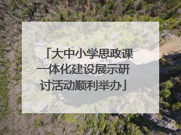 大中小学思政课一体化建设展示研讨活动顺利举办