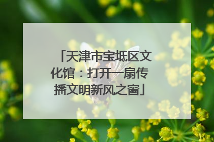 天津市宝坻区文化馆：打开一扇传播文明新风之窗