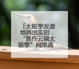 太极拳发源地再出实招 “焦作云端太极拳”网络直播教学平台开通