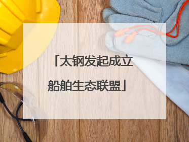 太钢发起成立船舶生态联盟