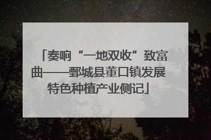 奏响“一地双收”致富曲——鄄城县董口镇发展特色种植产业侧记