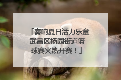 奏响夏日活力乐章 武昌区杨园街道篮球赛火热开赛！