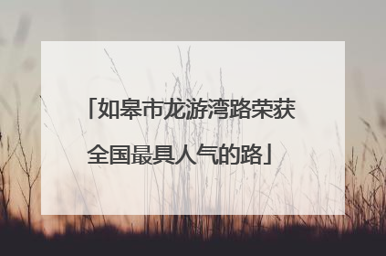 如皋市龙游湾路荣获全国最具人气的路
