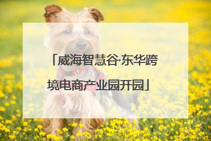 威海智慧谷·东华跨境电商产业园开园