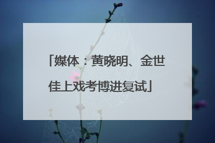 媒体：黄晓明、金世佳上戏考博进复试