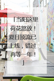 当阳这里荷花怒放！夏日顶流已上线，错过再等一年！
