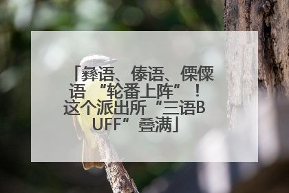彝语、傣语、傈僳语 “轮番上阵”！这个派出所“三语BUFF”叠满