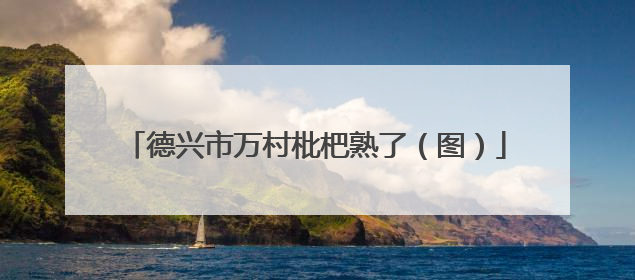 德兴市万村枇杷熟了（图）