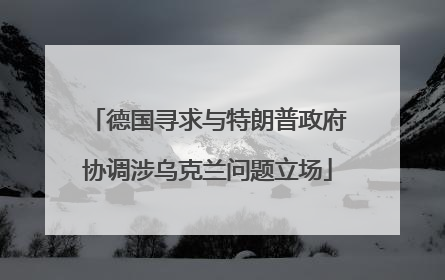 德国寻求与特朗普政府协调涉乌克兰问题立场