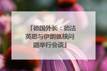 德国外长：德法英愿与伊朗就核问题举行会谈