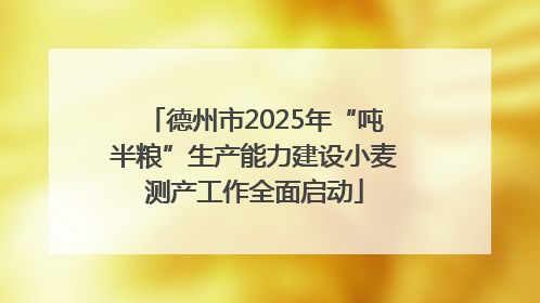 德州市2025年“吨半粮”生产能力建设小麦测产工作全面启动