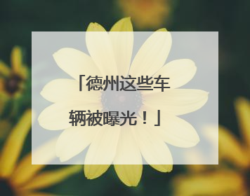德州这些车辆被曝光！