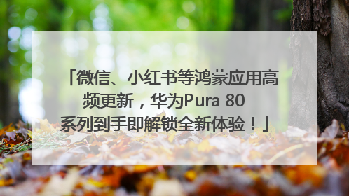 微信、小红书等鸿蒙应用高频更新，华为Pura 80系列到手即解锁全新体验！