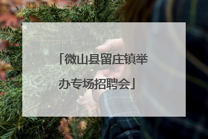 微山县留庄镇举办专场招聘会