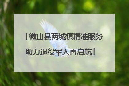 微山县两城镇精准服务助力退役军人再启航