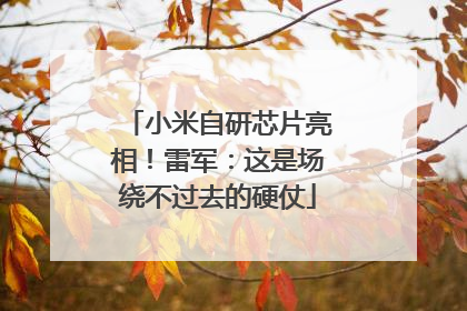 小米自研芯片亮相！雷军：这是场绕不过去的硬仗
