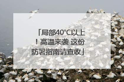 局部40℃以上！高温来袭 这份防暑指南请查收