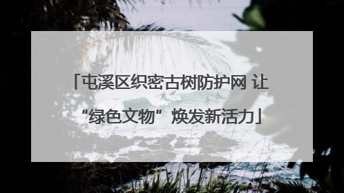 屯溪区织密古树防护网 让“绿色文物”焕发新活力