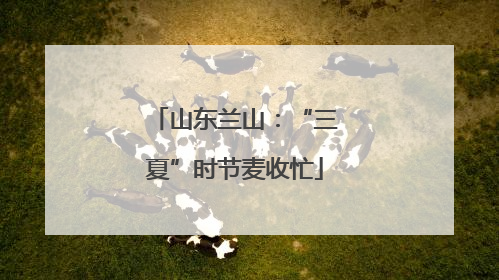 山东兰山：“三夏”时节麦收忙