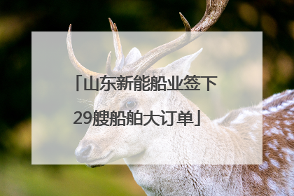 山东新能船业签下29艘船舶大订单