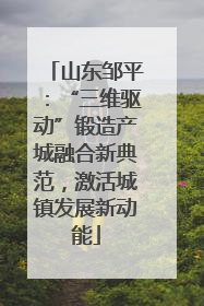 山东邹平：“三维驱动”锻造产城融合新典范，激活城镇发展新动能