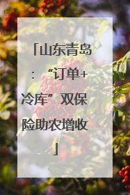 山东青岛：“订单+冷库”双保险助农增收