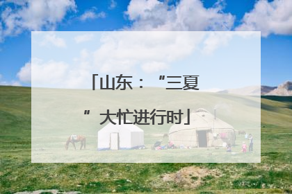 山东：“三夏”大忙进行时
