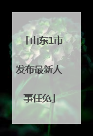 山东1市发布最新人事任免