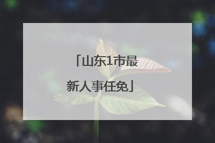 山东1市最新人事任免