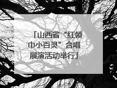 山西省“红领巾小百灵”合唱展演活动举行