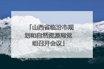 山西省临汾市规划和自然资源局党组召开会议