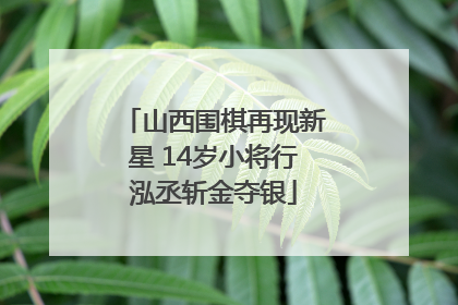 山西围棋再现新星 14岁小将行泓丞斩金夺银