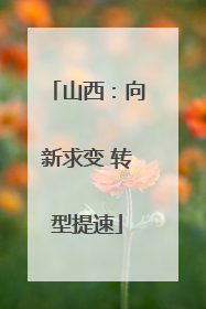 山西：向新求变 转型提速