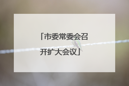 市委常委会召开扩大会议