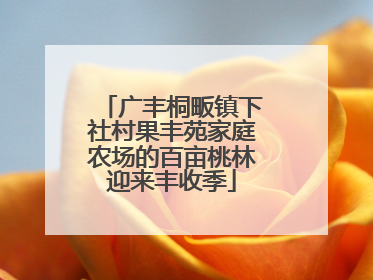 广丰桐畈镇下社村果丰苑家庭农场的百亩桃林迎来丰收季